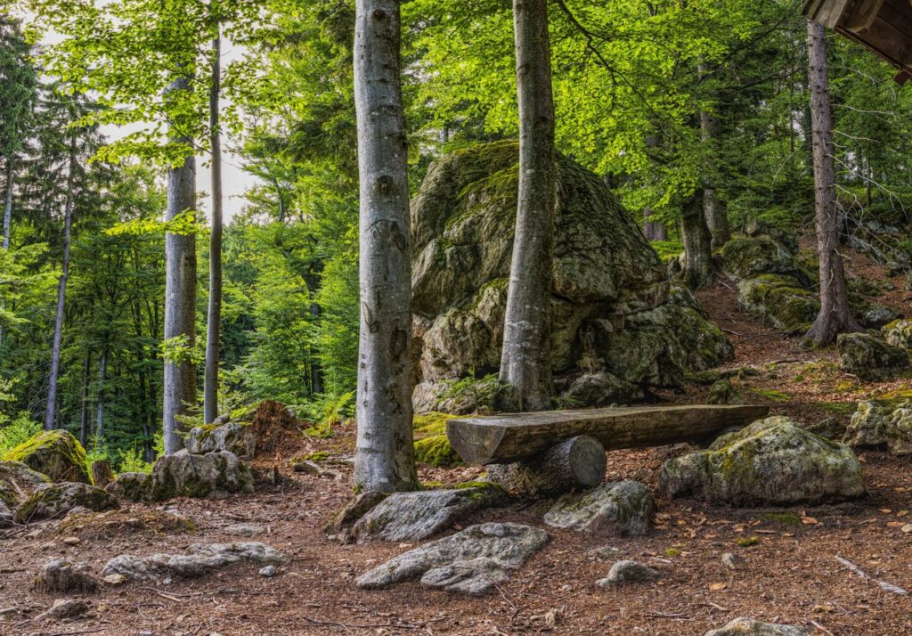 Erstklassige Wellness und wunderschöne Natur finden im Bayerischen Wald zusammen.